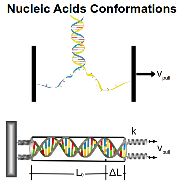 category strategy diagram