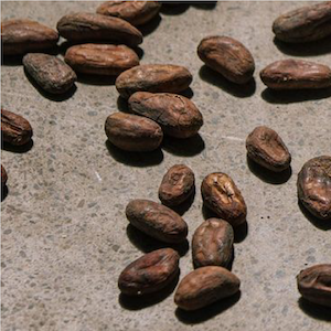 chocolate beans image