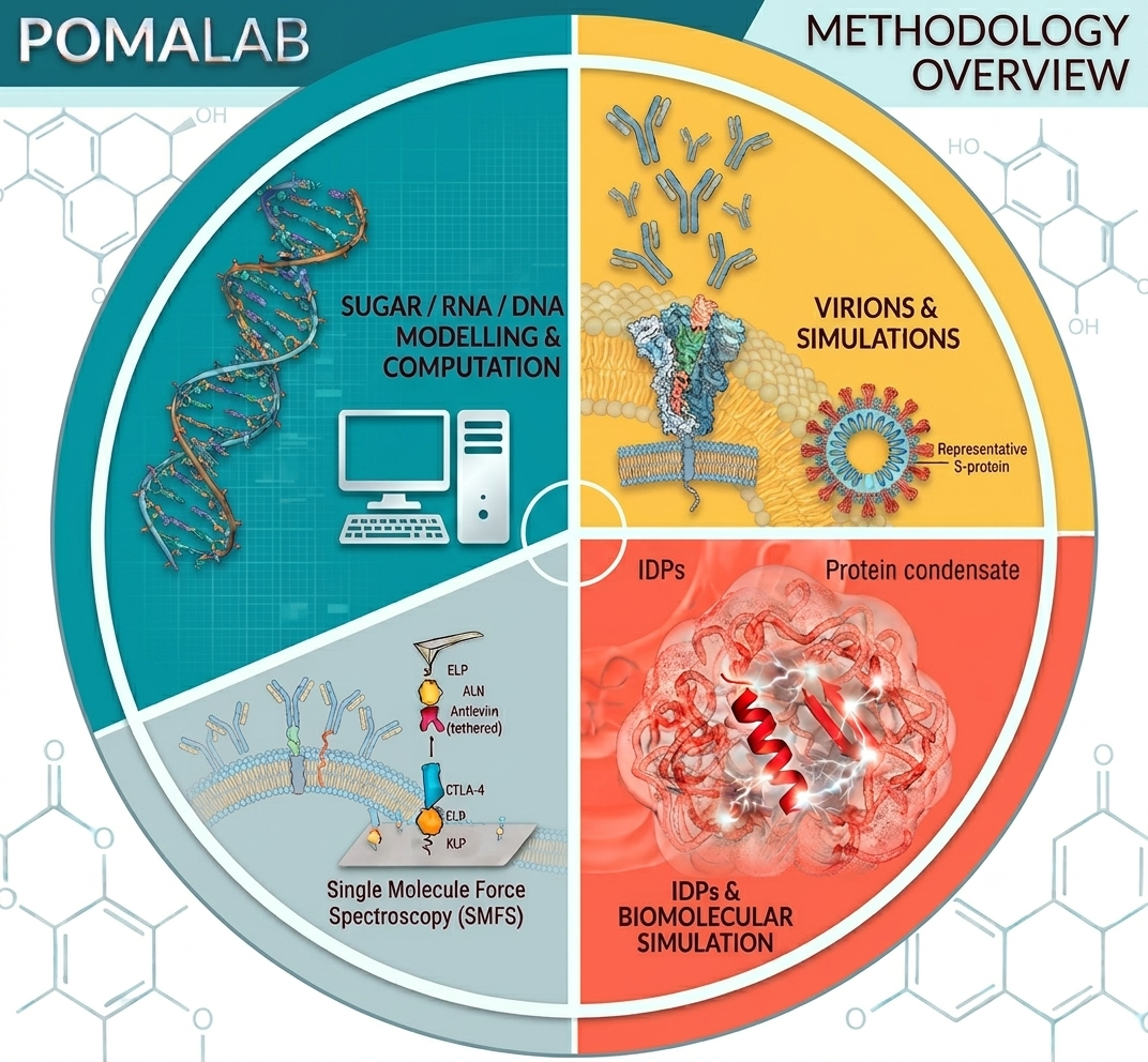 PomaLab