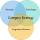 category strategy diagram